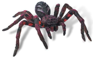 Picture of Wolf Spider