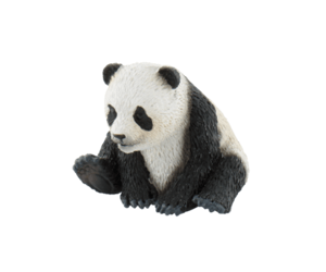 Picture of Pui de urs panda