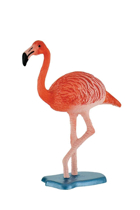 Imaginea Flamingo