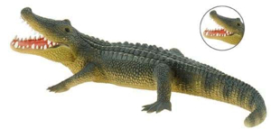Picture of Aligator