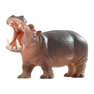 Picture of Hipopotam