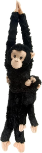 Picture of Maimuta care se agata Cimpanzeu cu pui